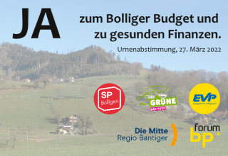 JA zum Bolliger Budget